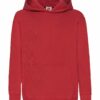 Classic Hooded Sweat Kids