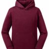 Authentic Hooded Sweat Kids