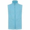 Gilet Uomo in Micropile