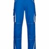 Workwear Pants Color