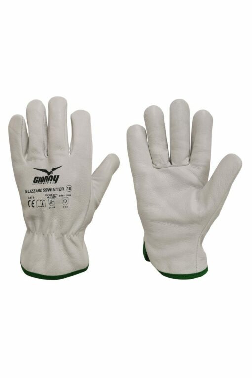 Blizzard 55 Winter Gloves