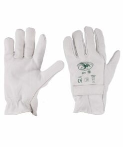 Leather Gloves 521
