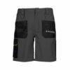 Tonale Shorts Work Pants