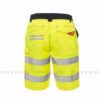 Craft High Visibility Shorts