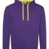 Bi-colours Varsity Hoodie