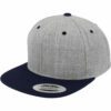 Classic Bi Colours Snapback
