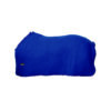 Polar Fleece Blanket