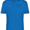Men's Active Polo